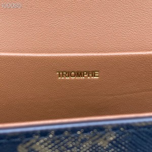 Celine Besace Chain Shoulder Bag 20cm 60215 Calfskin Leather Fall/Winter 2022 Collection - Image 8