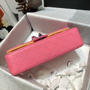 Chanel Classic Flap Bag 25cm Lambskin Leather Rainbow Hardware Cruise Spring/Summer 2022 Collection - Image 9