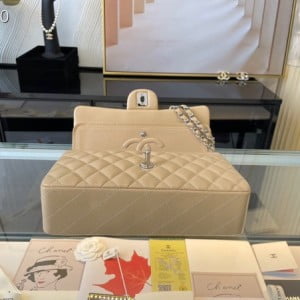 Chanel Classic Flap Bag 25cm Silver Hardware Lambskin Leather Spring/Summer 2021 Collection - Image 5