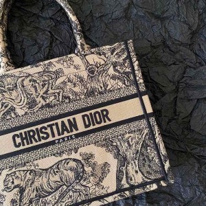 Christian Dior Book Tote Bag 25cm 1265 Toile De Jouy Embroidered Canvas Fall/Winter 2022 Collection - Image 5