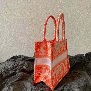 Christian Dior Book Tote Bag 25cm 1265 Toile de Jouy Reverse Transparent Embroidery Canvas Fall/Winter 2022 Collection - Image 3