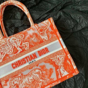 Christian Dior Book Tote Bag 25cm 1265 Toile de Jouy Reverse Transparent Embroidery Canvas Fall/Winter 2022 Collection - Image 5