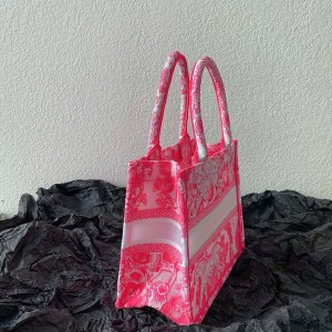 Christian Dior Book Tote Bag 25cm M1265 Toile de Jouy Reverse Transparent Embroidery Canvas Fall/Winter 2022 Collection - Image 3