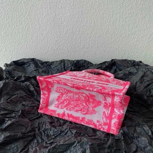Christian Dior Book Tote Bag 25cm M1265 Toile de Jouy Reverse Transparent Embroidery Canvas Fall/Winter 2022 Collection - Image 5