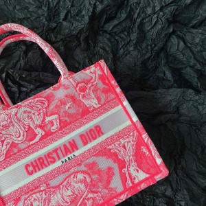 Christian Dior Book Tote Bag 25cm M1265 Toile de Jouy Reverse Transparent Embroidery Canvas Fall/Winter 2022 Collection - Image 6