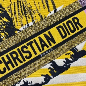 Christian Dior Book Tote Bag 36cm 1286 D-Jungle Zoom Pop Lion Embroidered Canvas Fall/Winter 2022 Collection - Image 5