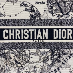 Christian Dior Book Tote Bag 36cm 1286 Toile de Jouy Zodiac Embroidery Canvas Fall/Winter 2022 Collection - Image 4