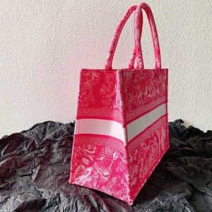 Christian Dior Book Tote Bag 36cm 1296 Toile de Jouy Reverse Transparent Embroidery Canvas Fall/Winter 2022 Collection - Image 3