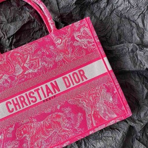 Christian Dior Book Tote Bag 36cm 1296 Toile de Jouy Reverse Transparent Embroidery Canvas Fall/Winter 2022 Collection - Image 3