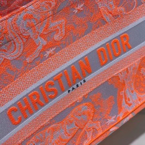 Christian Dior Book Tote Bag 36cm 1296 Toile de Jouy Reverse Transparent Embroidery Canvas Fall/Winter 2022 Collection - Image 5