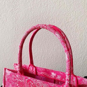 Christian Dior Book Tote Bag 36cm 1296 Toile de Jouy Reverse Transparent Embroidery Canvas Fall/Winter 2022 Collection - Image 5