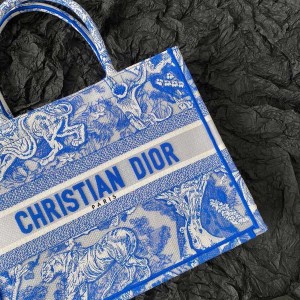 Christian Dior Book Tote Bag 36cm M1296 Toile de Jouy Reverse Transparent Embroidery Canvas Fall/Winter 2022 Collection - Image 5