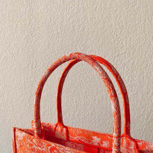 Christian Dior Book Tote Bag 36cm M1296 Toile de Jouy Reverse Transparent Embroidery Canvas Fall/Winter 2022 Collection - Image 6