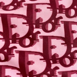 Christian Dior CD Logo Two Piece Bikini Swimsuit Spring/Summer 2020 Collection - Image 6