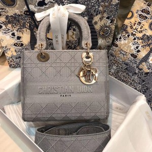 Christian Dior D-Lite Lady Dior Bag 24cm Embroidered Canvas Gold Hardware Fall/Winter 2020 Collection - Image 1