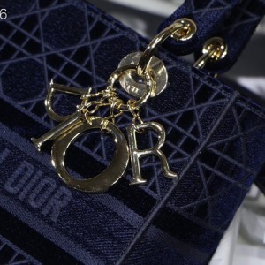 Christian Dior D-Lite Lady Dior Bag 24cm Velvet Embroidered Canvas Gold Hardware Fall/Winter 2020 Collection - Image 5