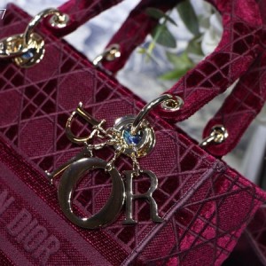 Christian Dior D-Lite Lady Dior Bag 24cm Velvet Embroidered Canvas Gold Hardware Fall/Winter 2020 Collection - Image 5