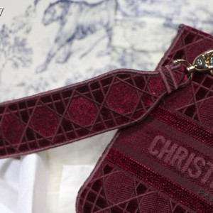 Christian Dior D-Lite Lady Dior Bag 24cm Velvet Embroidered Canvas Gold Hardware Fall/Winter 2020 Collection - Image 8