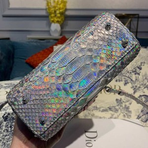 Christian Dior Lady Dior Bag 20cm Silver Hardware Python Skin Spring/Summer 2020 Collection - Image 5