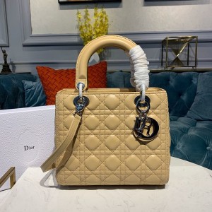 Christian Dior Lady Dior Bag 24cm Silver Hardware Lambskin Leather Spring/Summer 2020 Collection - Image 9