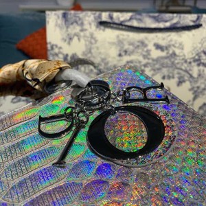 Christian Dior Lady Dior Bag 24cm Silver Hardware Python Skin Spring/Summer 2020 Collection - Image 5
