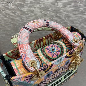 Christian Dior Lady Dior D-Lite Dior In Lights Bag 24cm with Gold Hardware Embroidery Canvas Spring/Summer 2021 Collection - Image 7