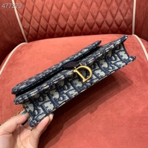 Christian Dior Saddle WOC Bag 22cm Oblique Embroidery Canvas Spring/Summer 2021 Collection - Image 7