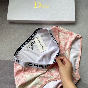 Christian Dior Toile de Jouy Two Piece Bikini Swimsuit Spring/Summer 2020 Collection - Image 8